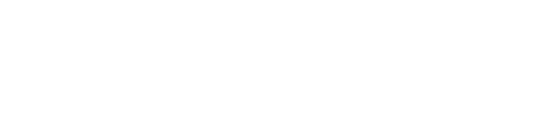 liermann solucoes em ti